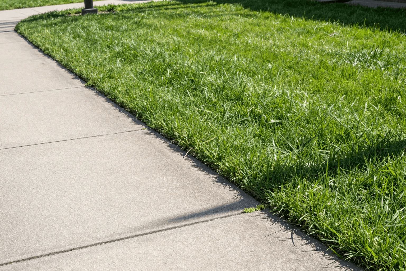 Best Lawn Edgers 2026